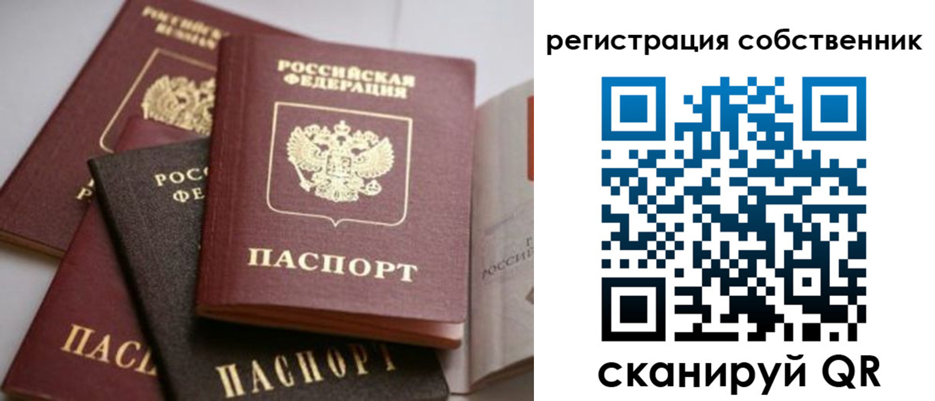 временная регистрация поиск в Владимире